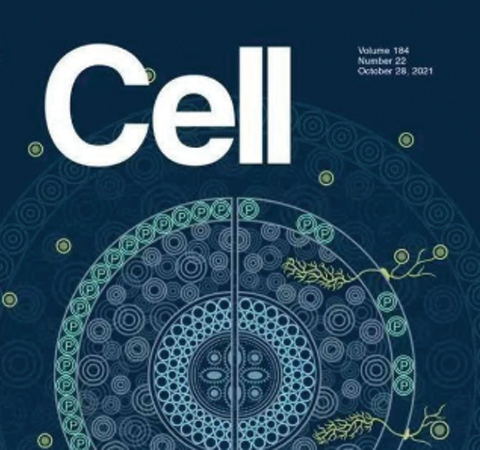 祝賀王二濤老師團隊又一佳作榮登Cell期刊！
